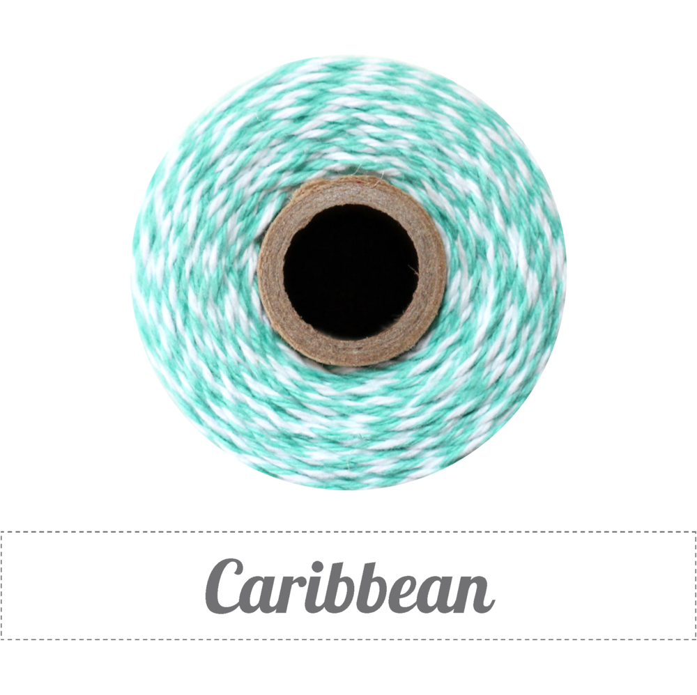 Ficelle coton bleu turquoise/blanc - bicolore