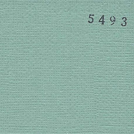 Cardstock uni - vert de gris