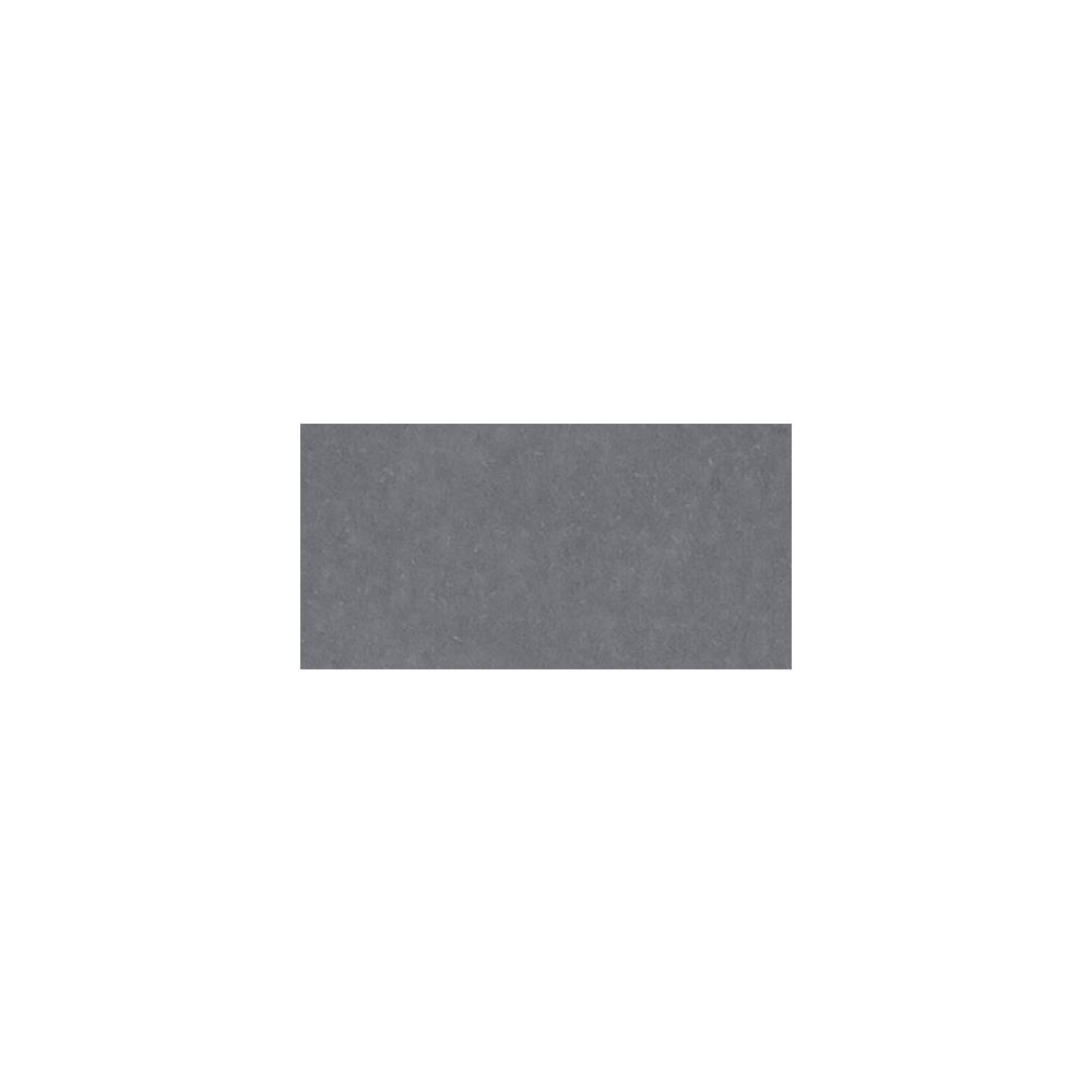 AC Cardstock - Charcoal lisse