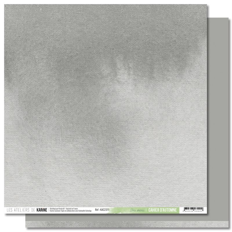 LES ATELIERS DE KARINE - Papier BACK TO BASICS Gris souris
