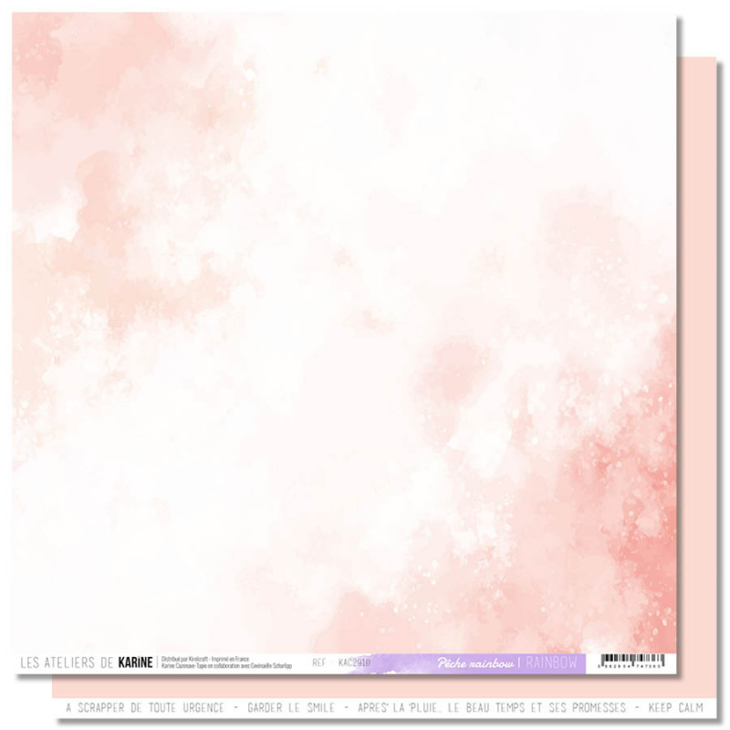 LES ATELIERS DE KARINE - Papier BACK TO BASICS Pche Rainbow 9