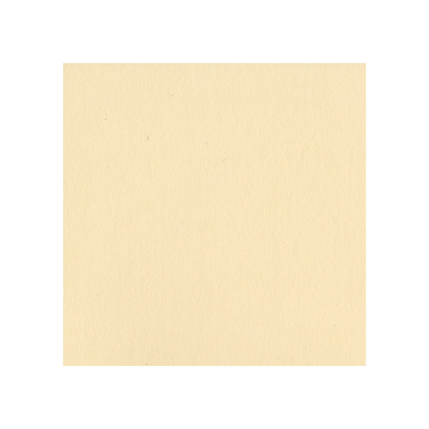 Bazzill Pigment (lisse)