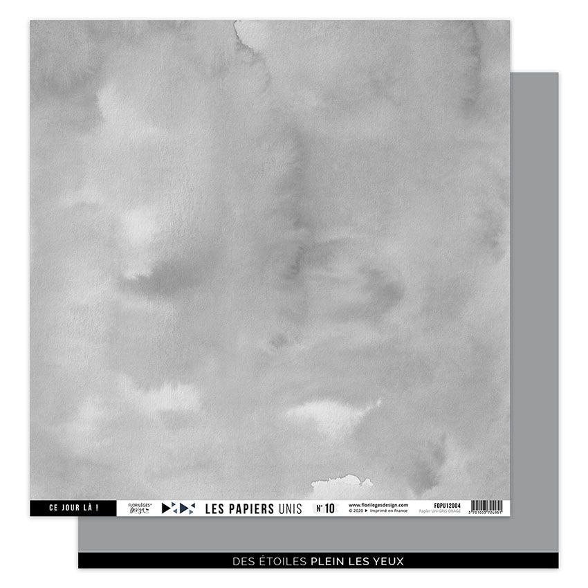 Papier uni N10 Gris orage