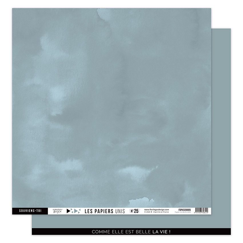 Papier uni N25 Bleu gris