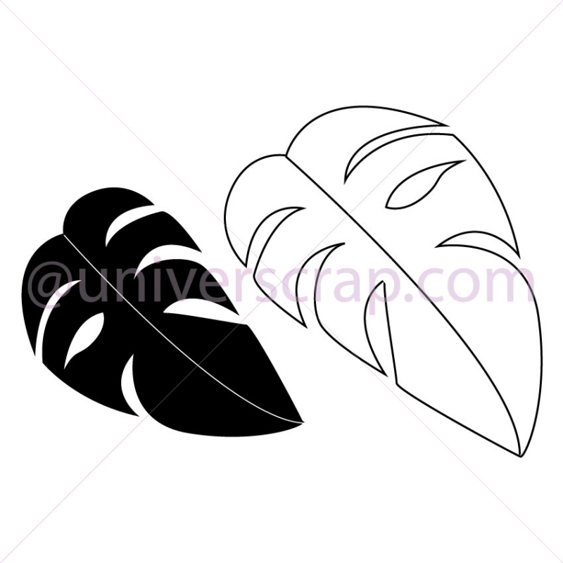 Tampon - Feuilles dHibiscus